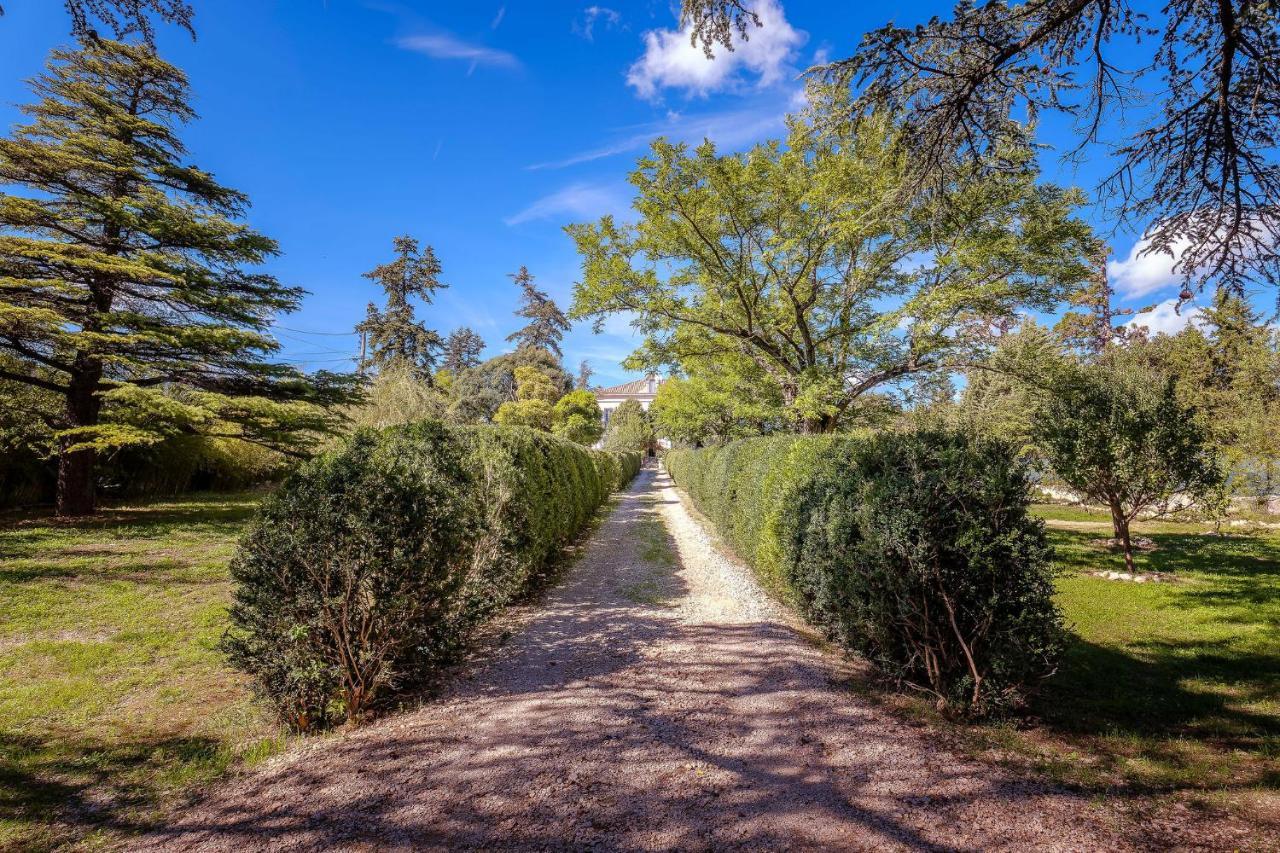 B&B En Provence- Villa Saint Marc Forcalquier Zewnętrze zdjęcie