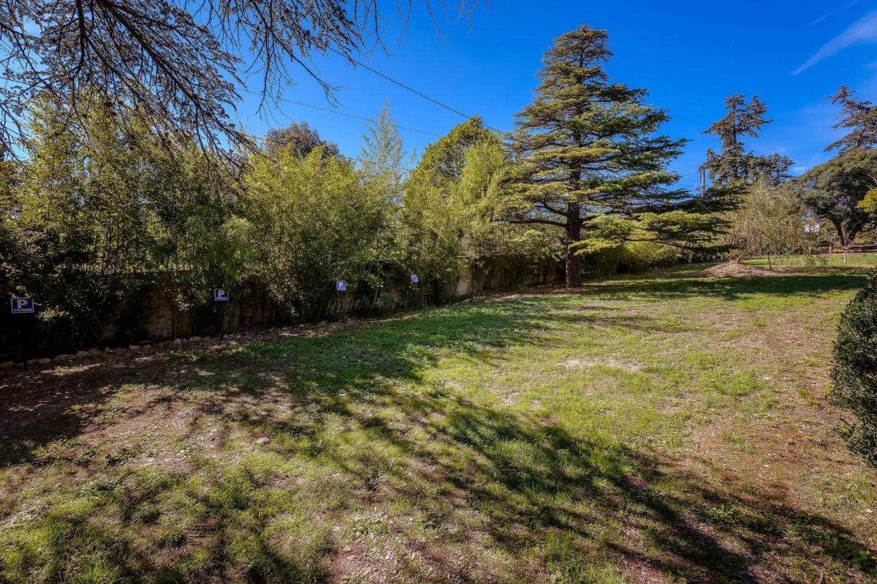 B&B En Provence- Villa Saint Marc Forcalquier Zewnętrze zdjęcie
