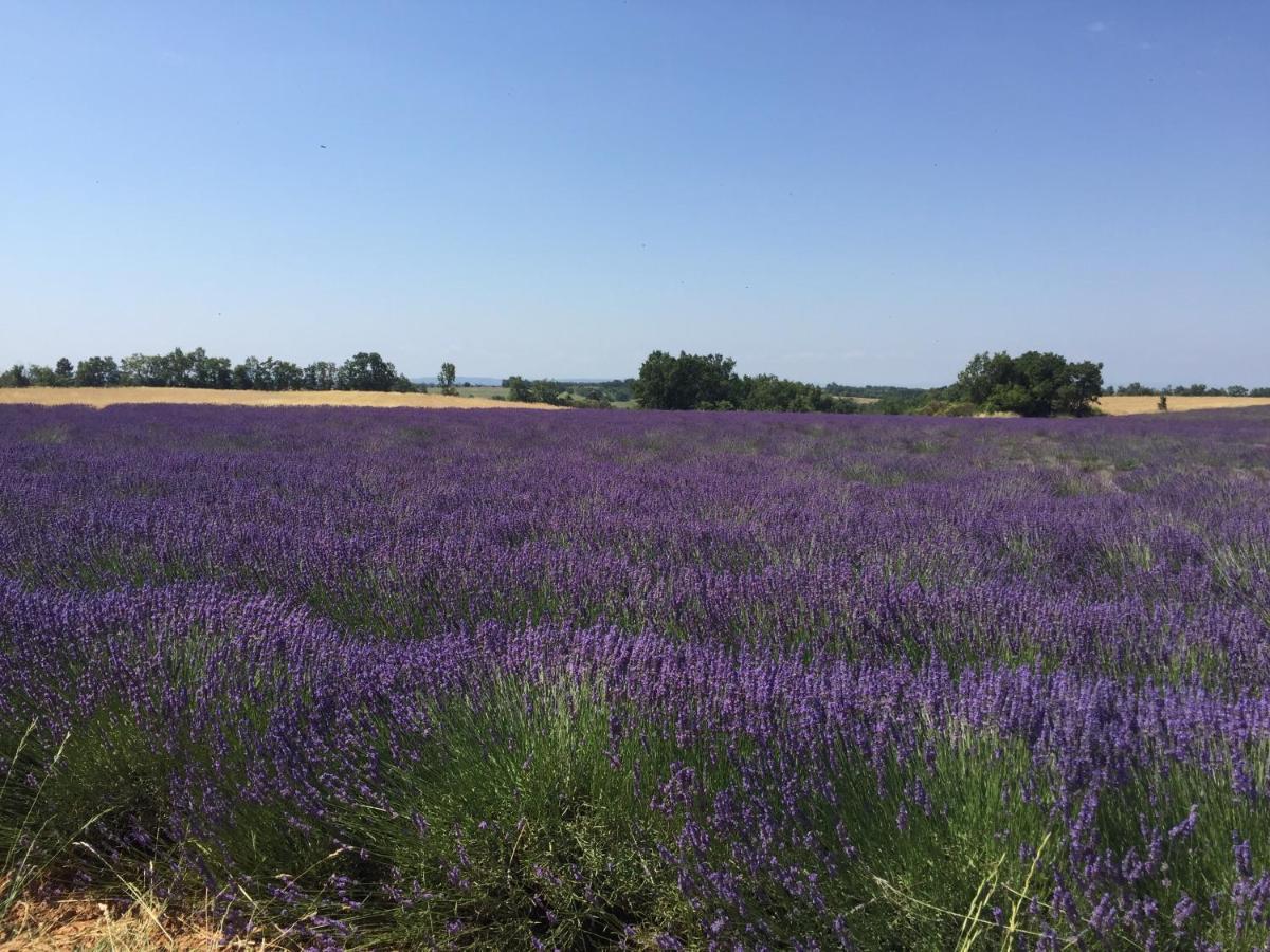 B&B En Provence- Villa Saint Marc Forcalquier Zewnętrze zdjęcie