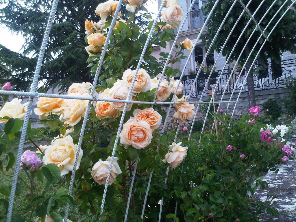 B&B En Provence- Villa Saint Marc Forcalquier Zewnętrze zdjęcie
